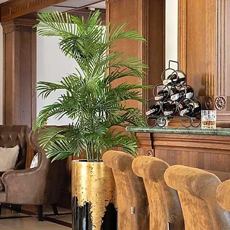 Sadelski Dwor Medical & Hotell Zakopane